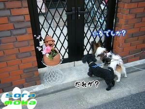 DSCF7905.jpg