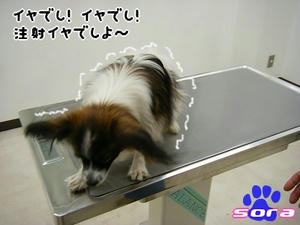 DSCF7915.jpg