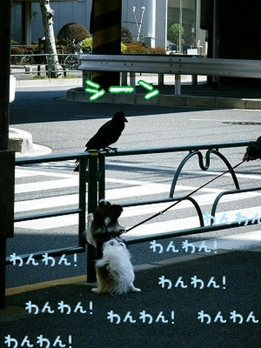 DSCF7985.jpg