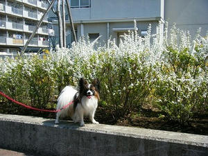 DSCF7988.jpg