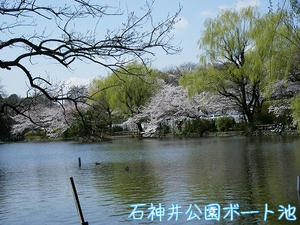 DSCF8003.jpg