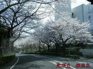 DSCF8026.jpg