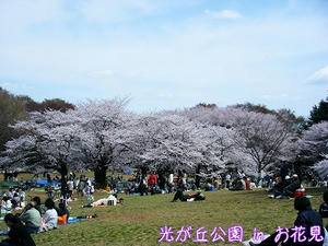 DSCF8038.jpg