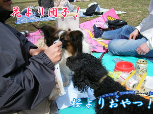 DSCF8049.png