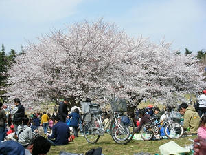 DSCF8135.jpg