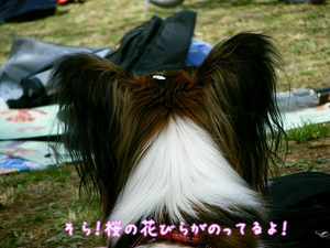 DSCF8138.png