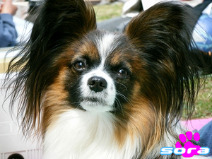 DSCF8098.png