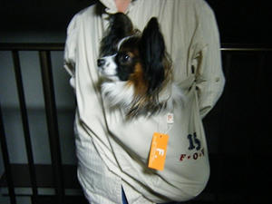 DSCF7159.jpg