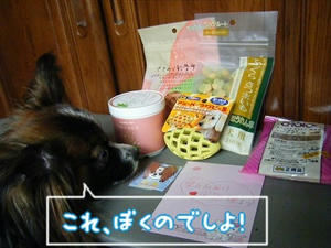 DSCF8183.jpg