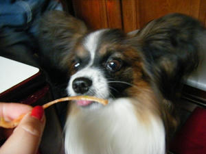 DSCF8191.jpg
