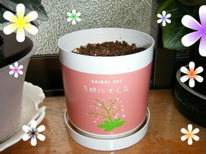 DSCF8209.jpg
