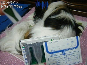 DSCF8268.jpg