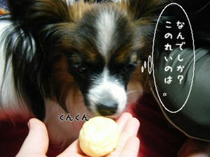 DSCF8288.jpg