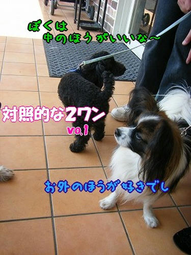 DSCF8355.jpg