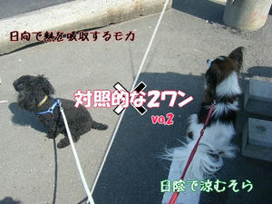 DSCF8376.jpg