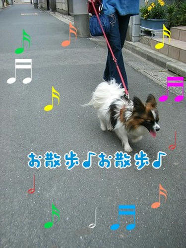 DSCF8517.jpg