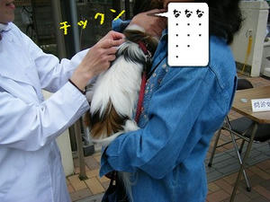 DSCF8425.jpg
