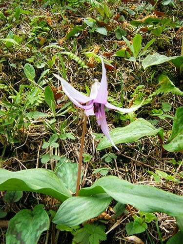DSCF8441.jpg