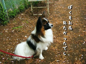 DSCF8457.jpg