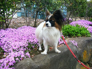 DSCF8476.jpg