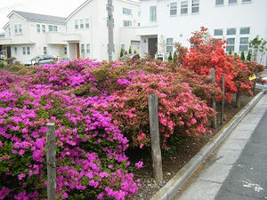 DSCF8508.jpg