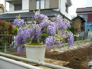 DSCF8502.jpg