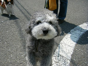 DSCF8551.jpg