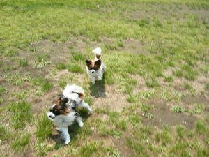 DSCF8563.jpg