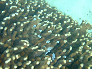 DSCF3942.jpg