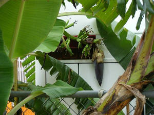DSCF9497.jpg
