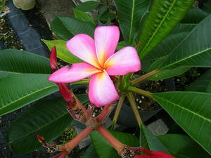 DSCF9499.jpg