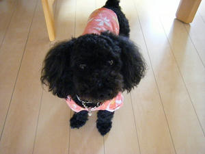 DSCF9503.jpg