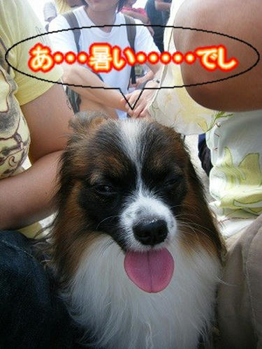 DSCF9604.jpg
