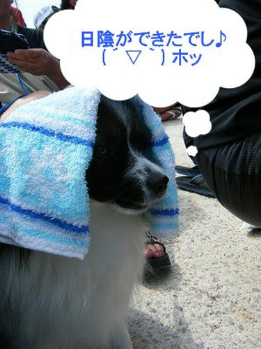 DSCF9614.jpg