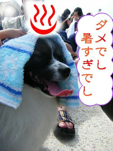 DSCF9616.jpg