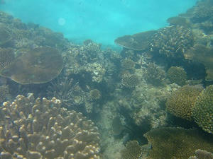DSCF4064.jpg