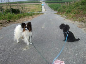 DSCF4120.jpg