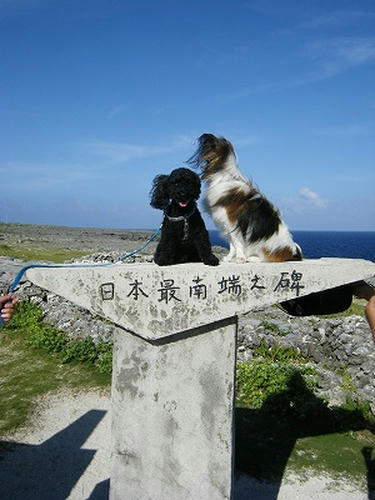 DSCF9795.jpg