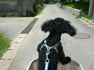 DSCF9869.jpg