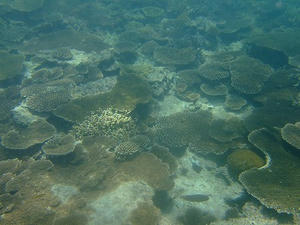 DSCF4062.jpg