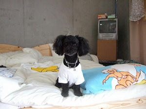 DSCF4023.jpg