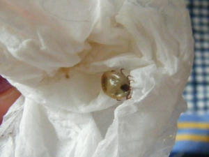 DSCF9917.jpg