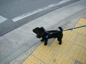 DSCF9518.jpg