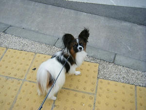 DSCF9519.jpg