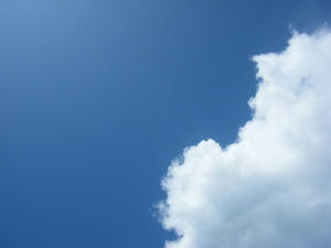 DSCF9969.jpg