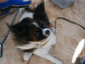 DSCF0034.jpg