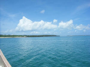 DSCF0038.jpg
