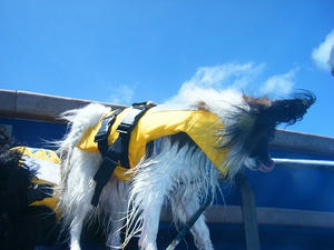 DSCF0076.jpg