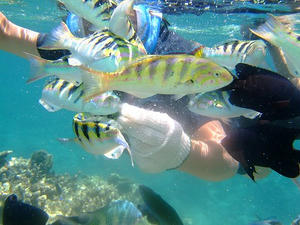 DSCF4177.jpg