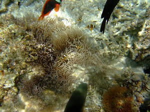 DSCF4190.jpg